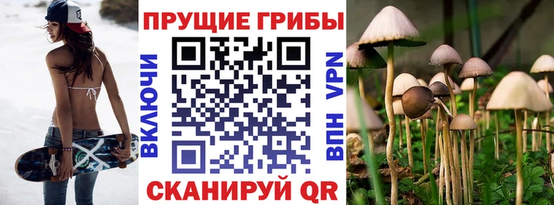 магазин    Алапаевск  Псилоцибиновые грибы прущие грибы 