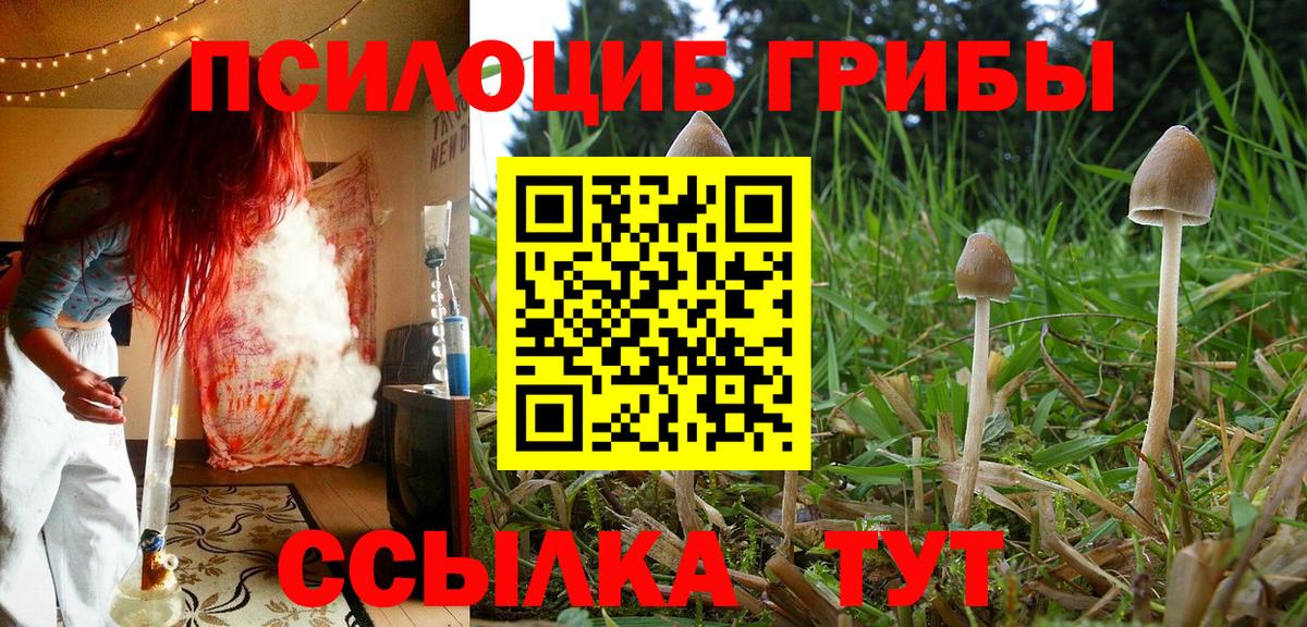 Псилоцибиновые грибы прущие грибы  Вход с VPN  Алапаевск  Псилоцибиновые грибы MAGIC MUSHROOMS 