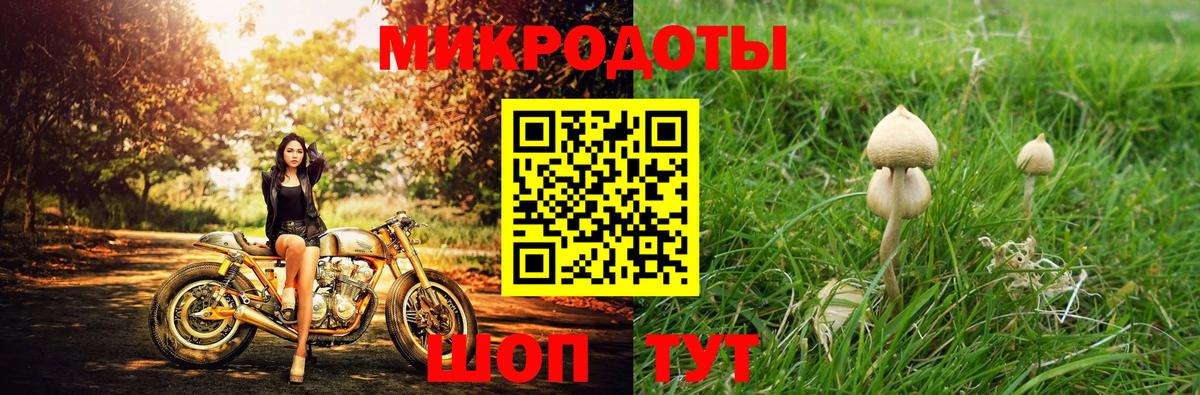 Галлюциногенные грибы MAGIC MUSHROOMS Алапаевск